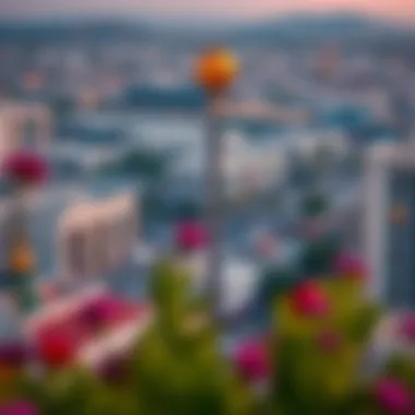 Neighborhood View of Al Nasr Plaza Residence Scenic view of the neighborhood around Al Nasr Plaza Residence