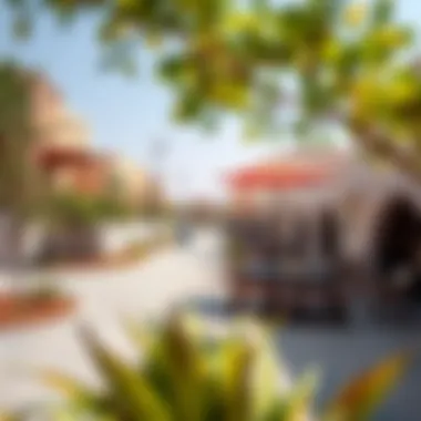 Vibrant Community Spaces in Barari Community gathering spaces reflecting the vibrant culture of Barari