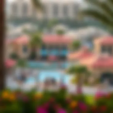 Community amenities and recreational areas in Damac Hills