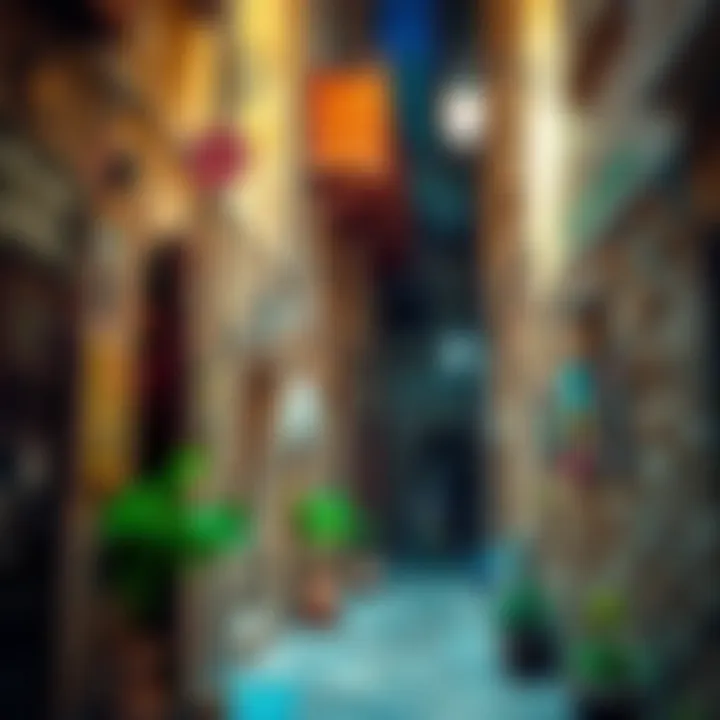 Quaint alleyway revealing hidden treasures of Melenzane