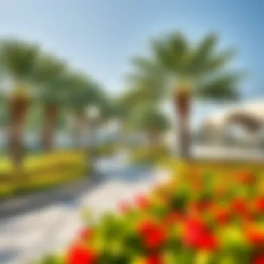 A serene park in Al Bader, providing a recreational space for relaxation and leisure activities