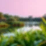 Serene lake surrounded by lush greenery at Al Barari Park