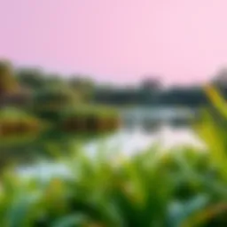 Serene lake surrounded by lush greenery at Al Barari Park