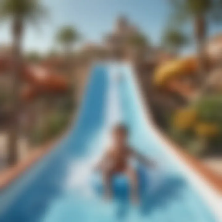 Children enjoying the water slides and splash areas at Al Barari Water Park