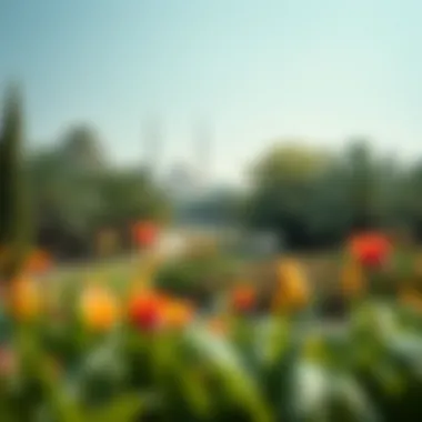 Diverse flora and fauna thriving in Al Mushrif Park