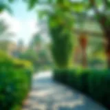 Lush greenery in Al Mushrif Park showcasing a serene environment