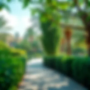 Lush greenery in Al Mushrif Park showcasing a serene environment