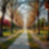 Serene walking path lined with trees in Al Rashidiya Park