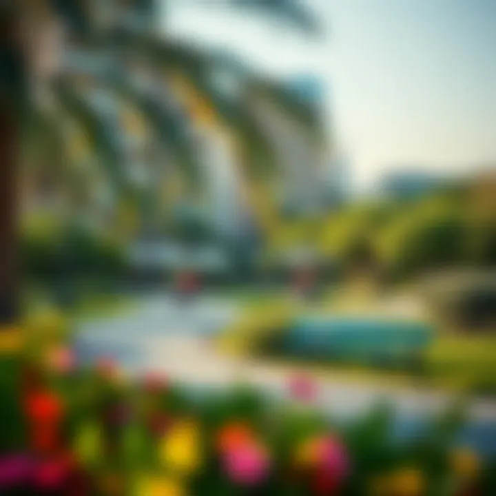 Recreational park in Al Wasl Village surrounded by greenery