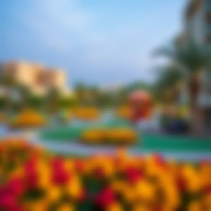 Vibrant community park in Alkhail Heights