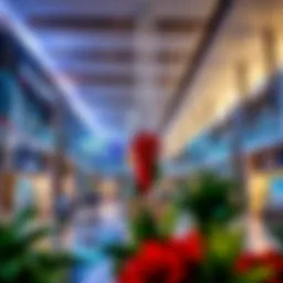 Interior view showcasing the modern design of Bin Shabib Mall