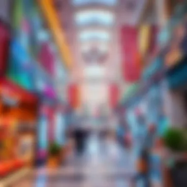 Shopping Experience at Bin Shabib Mall Shopping experience highlighting various stores in Bin Shabib Mall