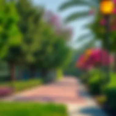 A tranquil walking path in Mushrif Park