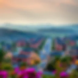 Breathtaking view of Damac Hills community