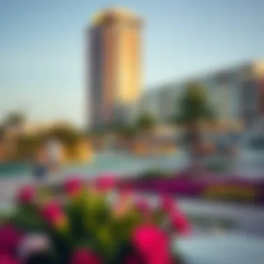 Recreational amenities in Damac Hills