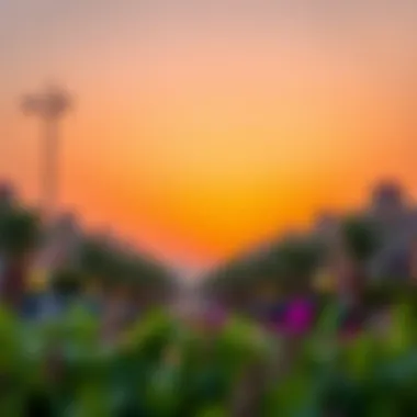 Tranquil Sunset in Discovery Gardens A picturesque sunset over Discovery Gardens, highlighting its tranquil residential environment.