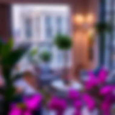 A cozy corner showcasing Home Box furniture