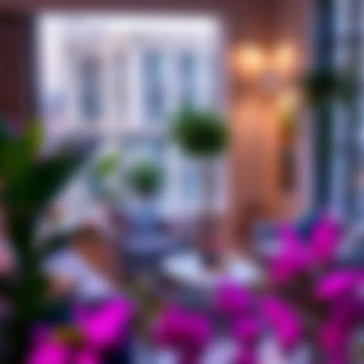 A cozy corner showcasing Home Box furniture