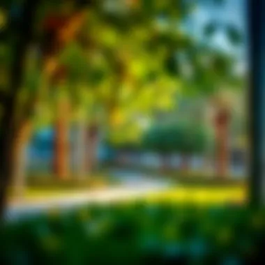 Serene Green Spaces in Meydan A tranquil park area in the heart of Meydan