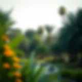 Lush greenery in Musrif Park highlighting its ecological significance