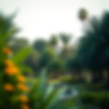 Lush greenery in Musrif Park highlighting its ecological significance