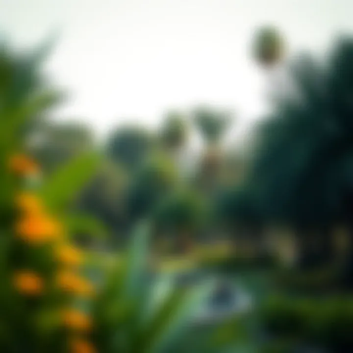 Lush greenery in Musrif Park highlighting its ecological significance