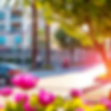 Local amenities and parks in Qusais highlighting community spirit