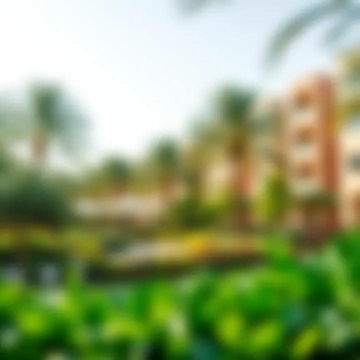 Community park in Damac Hills 2 with lush greenery