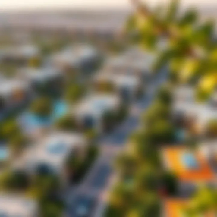 Vibrant residential area in Dubai South with green spaces