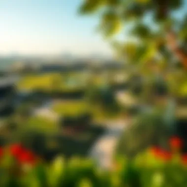 A panoramic view of The Dip Public Park showcasing its lush greenery and walking paths.