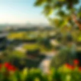 Panoramic View of The Dip Public Park A panoramic view of The Dip Public Park showcasing its lush greenery and walking paths.