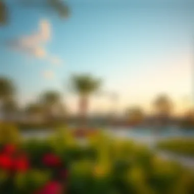 Relaxing Spaces in Tibba Qusais Recreational park illustrating leisure spaces in Tibba Qusais