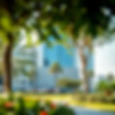 Serenity Amidst the Urban Landscape Lush green spaces in Wasl North Heights