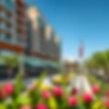 Community amenities at Wasl Square, featuring outdoor spaces and recreational facilities