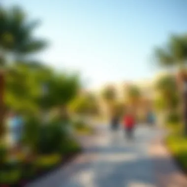 Community Park Life in Nibras Oasis Community park in Nibras Oasis offering leisure and recreational activities