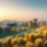 Tranquil Panorama of Sahara Meadows A panoramic view of Sahara Meadows showcasing the tranquility of the landscape