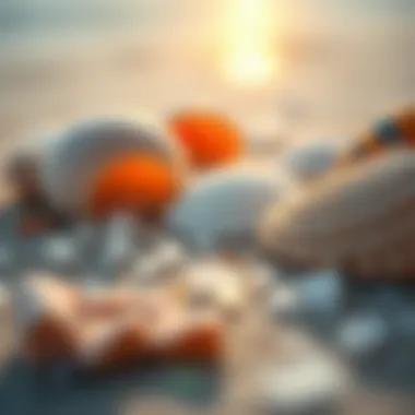 An artistic close-up of beach elements - salt, sand, and shells