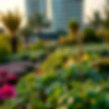 Community Gardens Cultivating Urban Agriculture and Engagement Community garden in Dubai fostering urban agriculture