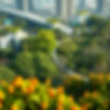 Lush green parks in urban Dubai promoting biodiversity