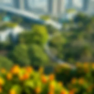 Expansive Green Parks Enhancing Urban Biodiversity Lush green parks in urban Dubai promoting biodiversity