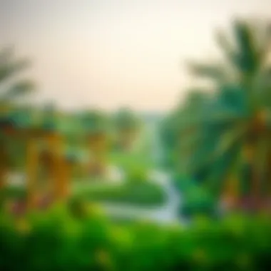 A panoramic view of Umm Suqeim Park showcasing lush greenery and pathways