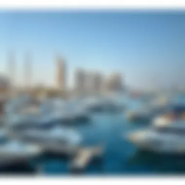 The vibrant marina area filled with luxurious yachts and boats