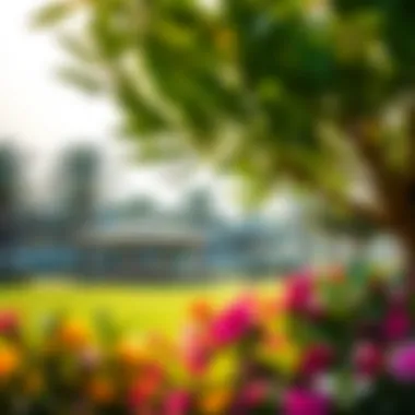 Lush greenery of Wasl Green Park