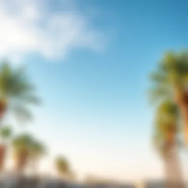 A calm day in Al Quoz with clear skies and palm trees