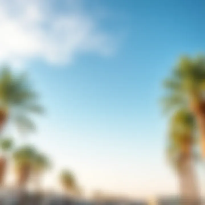 A calm day in Al Quoz with clear skies and palm trees